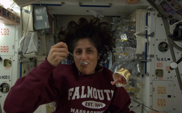 Freeze-dried “astronaut ice