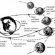 List of Apollo astronauts