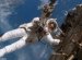 Astronauts Working in Space