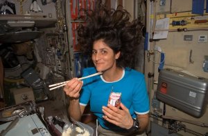 suni williams, iss, astronaut