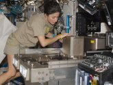 Astronaut Nicole Stott
