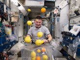 NASA astronaut training program