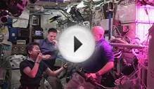 Astronauts eat space-grown lettuce for first time